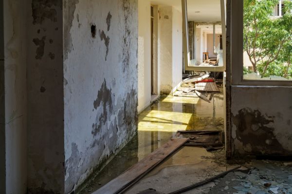 Cost of Water Removal Service in Fort Lauderdale