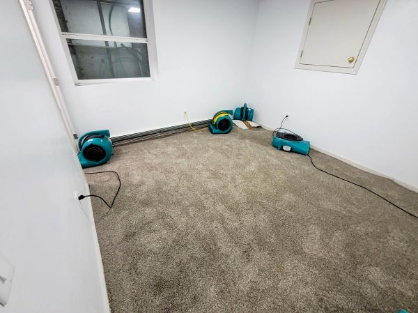 Cost of Flood Restoration Service in Fort Lauderdale